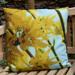 Southville forsythia