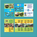 green projects